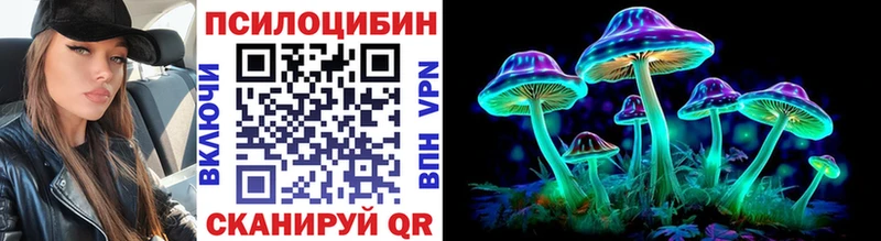 Галлюциногенные грибы мицелий  Купить закладки  Туринск 