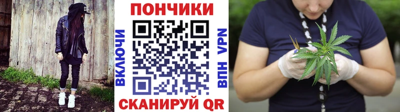 Бошки Шишки ГИДРОПОН  Купить где  Туринск 